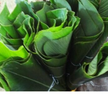 Fresh Eko Leaves Fresh 1×25 pieces