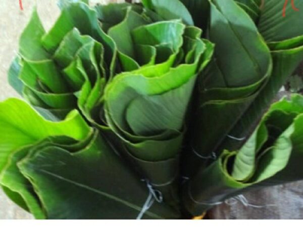 Fresh Eko Leaves Fresh 1x25 pieces