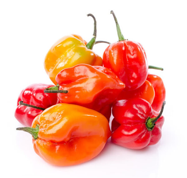Uganda Hot Pepper