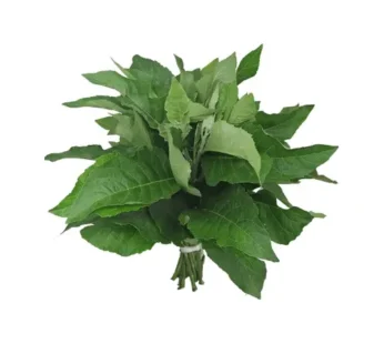 Fresh Bitter Leaves 1×10 pcs