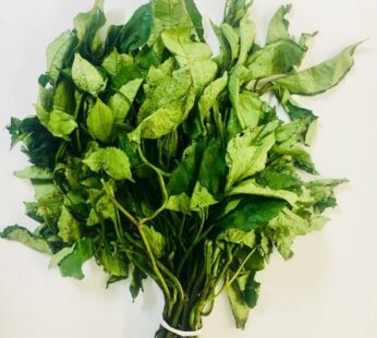 Fresh Ugu Leaves 1×10 pcs