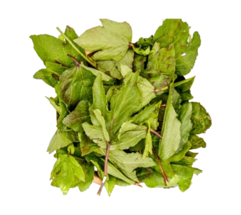 Fresh Ngai/Sawawa Leaves 500g 1×24 pcs