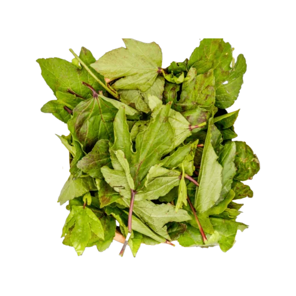 Fresh Ngai/Sawawa Leaves 500g 1x24 pcs
