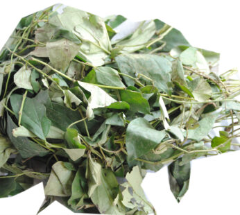 Uziza Leaves 1×25 pcs