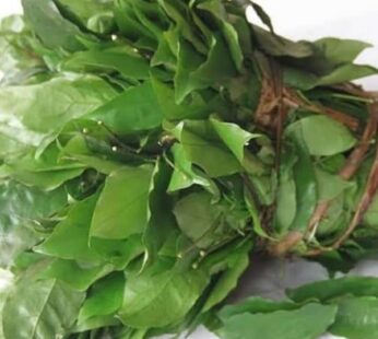 Fresh Okazi Leaves 2kg