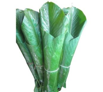 Fresh Ewe Leaves (Moin Moin) 1 x 15 pieces