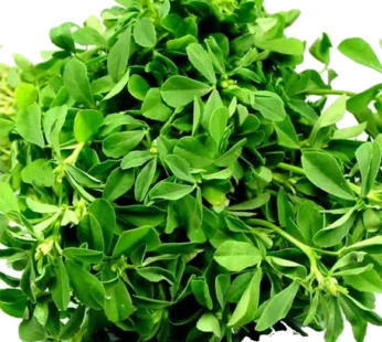 Fresh Water Leaves 3kg